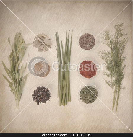 To use this stock image in your creative project, please select the size you need over to the right and click the "Add to Cart" button.
Your downloaded image will come with the Cutcaster watermark removed so don’t worry about the watermark you see on this page. spices retro design stock photo, spices retro design by FranziskaKrause