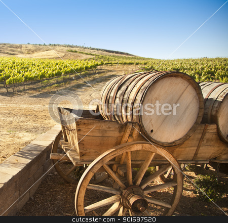 To use this stock image in your creative project, please select the size you need over to the right and click the "Add to Cart" button.
Your downloaded image will come with the Cutcaster watermark removed so don’t worry about the watermark you see on this page. Grape Vineyard with Old Barrel Carriage Wagon stock photo, Grape Vineyard with Vintage Barrel Carriage Wagon
by Andy Dean