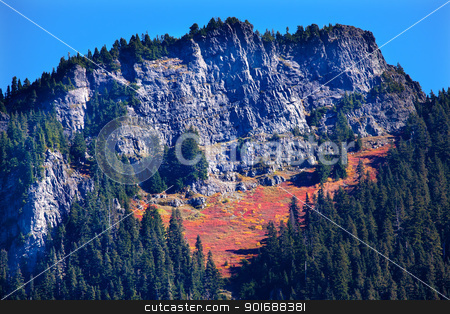 To use this stock image in your creative project, please select the size you need over to the right and click the "Add to Cart" button.
Your downloaded image will come with the Cutcaster watermark removed so don’t worry about the watermark you see on this page. Autumn Carpet Leaves Snoqualme Pass Washington stock photo, Autumn Carpet, Leaves, Mountain, Snoqualme Pass, Washington by William Perry