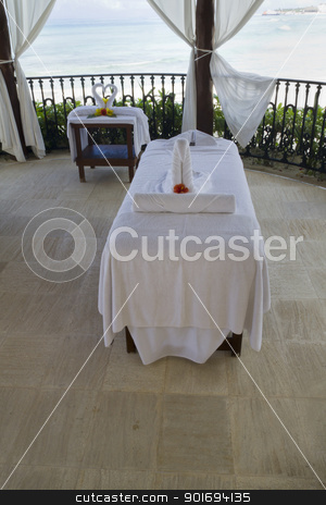 To use this stock image in your creative project, please select the size you need over to the right and click the "Add to Cart" button.
Your downloaded image will come with the Cutcaster watermark removed so don’t worry about the watermark you see on this page. Massage Table stock photo, A single massage table by the beach by Kevin Tietz