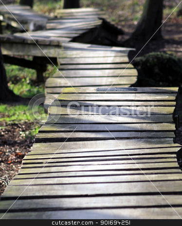 To use this stock image in your creative project, please select the size you need over to the right and click the "Add to Cart" button.
Your downloaded image will come with the Cutcaster watermark removed so don’t worry about the watermark you see on this page. Uneven wooden path in forest stock photo, Uneven wooden pathway receding through forest. by Martin Crowdy