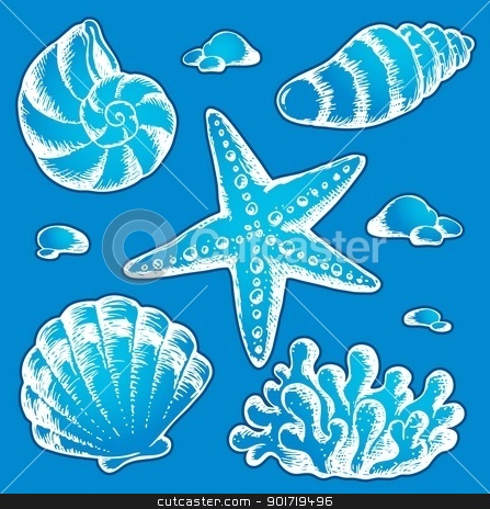 To use this stock image in your creative project, please select the size you need over to the right and click the "Add to Cart" button.
Your downloaded image will come with the Cutcaster watermark removed so don’t worry about the watermark you see on this page. Sea shells drawings 2 stock vector clipart, Sea shells drawings 2 - vector illustration. by Klara Viskova