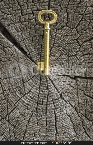 To use this stock image in your creative project, please select the size you need over to the right and click the "Add to Cart" button.
Your downloaded image will come with the Cutcaster watermark removed so don’t worry about the watermark you see on this page. Old key of gold colour. stock photo, Old key of gold colour on a background of an old tree. by Yury Ponomarev