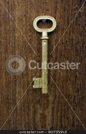 To use this stock image in your creative project, please select the size you need over to the right and click the "Add to Cart" button.
Your downloaded image will come with the Cutcaster watermark removed so don’t worry about the watermark you see on this page. Old key. stock photo, Old key of gold colour on a background of an old tree. by Yury Ponomarev