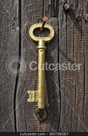 To use this stock image in your creative project, please select the size you need over to the right and click the "Add to Cart" button.
Your downloaded image will come with the Cutcaster watermark removed so don’t worry about the watermark you see on this page. Old key of gold colour. stock photo, Old key and rusty nail on a background of an old board. by Yury Ponomarev