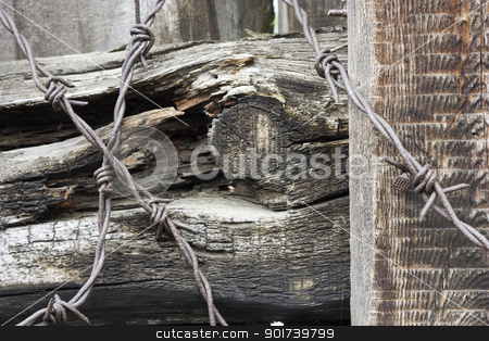 To use this stock image in your creative project, please select the size you need over to the right and click the "Add to Cart" button.
Your downloaded image will come with the Cutcaster watermark removed so don’t worry about the watermark you see on this page. Prickly wire stock photo, Prickly wire on a background build boards. by Yury Ponomarev