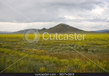 To use this stock image in your creative project, please select the size you need over to the right and click the "Add to Cart" button.
Your downloaded image will come with the Cutcaster watermark removed so don’t worry about the watermark you see on this page. Mountain valley. stock photo, Field of a yellow grass on a background of mountains. by Yury Ponomarev
