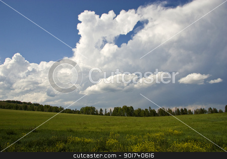 To use this stock image in your creative project, please select the size you need over to the right and click the "Add to Cart" button.
Your downloaded image will come with the Cutcaster watermark removed so don’t worry about the watermark you see on this page. Summer landscape. stock photo, Green grass and blue sky. by Yury Ponomarev