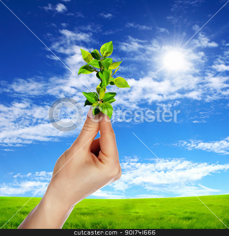 To use this stock image in your creative project, please select the size you need over to the right and click the "Add to Cart" button.
Your downloaded image will come with the Cutcaster watermark removed so don’t worry about the watermark you see on this page. Hands holding green sprouts stock photo, Hands holding green sprouts and sunny sky by Sergey Nivens