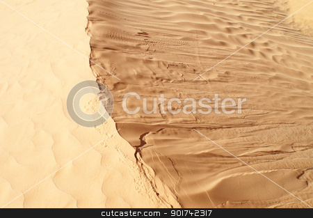 To use this stock image in your creative project, please select the size you need over to the right and click the "Add to Cart" button.
Your downloaded image will come with the Cutcaster watermark removed so don’t worry about the watermark you see on this page. Desert stock photo, beautiful day in the dunes of Africa by Viktor Thaut