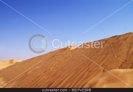 To use this stock image in your creative project, please select the size you need over to the right and click the "Add to Cart" button.
Your downloaded image will come with the Cutcaster watermark removed so don’t worry about the watermark you see on this page. desert landscape stock photo, beautiful day in the dunes of Africa by Viktor Thaut