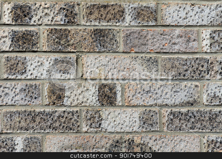 To use this stock image in your creative project, please select the size you need over to the right and click the "Add to Cart" button.
Your downloaded image will come with the Cutcaster watermark removed so don’t worry about the watermark you see on this page. Textured brick wall stock photo, Abstract background of textured gray or grey brick wall. by Martin Crowdy
