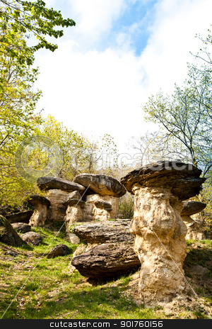 To use this stock image in your creative project, please select the size you need over to the right and click the "Add to Cart" button.
Your downloaded image will come with the Cutcaster watermark removed so don’t worry about the watermark you see on this page. Imaginative forest landscape stock photo, Curious forest in Italy, Piemonte region, close to Cuneo city. The name of the forest is