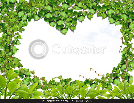 To use this stock image in your creative project, please select the size you need over to the right and click the "Add to Cart" button.
Your downloaded image will come with the Cutcaster watermark removed so don’t worry about the watermark you see on this page. Green heart stock photo, Green heart for you by Diana