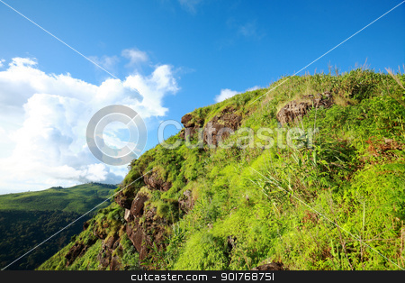 To use this stock image in your creative project, please select the size you need over to the right and click the "Add to Cart" button.
Your downloaded image will come with the Cutcaster watermark removed so don’t worry about the watermark you see on this page. Green forest and high mountain stock photo, Green forest and high mountain in Thailand by kongsky