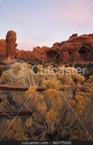 To use this stock image in your creative project, please select the size you need over to the right and click the "Add to Cart" button.
Your downloaded image will come with the Cutcaster watermark removed so don’t worry about the watermark you see on this page. Yellow plants on the wind stock photo, Yellow plants on the wind and Double Arch in the background by Henryk Sadura