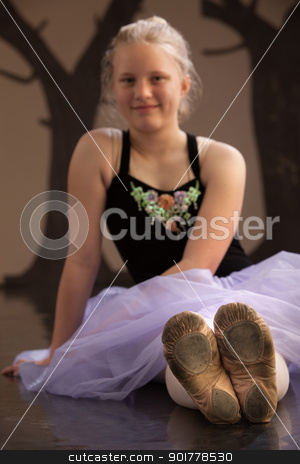 To use this stock image in your creative project, please select the size you need over to the right and click the "Add to Cart" button.
Your downloaded image will come with the Cutcaster watermark removed so don’t worry about the watermark you see on this page. Worn Out Shoes of Ballerina stock photo, Worn out shoes of a ballet student. Shoes in focus by Scott Griessel