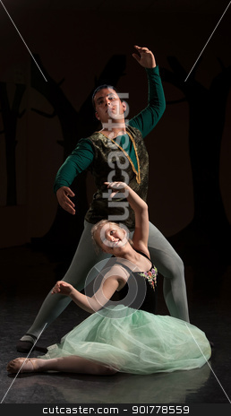 To use this stock image in your creative project, please select the size you need over to the right and click the "Add to Cart" button.
Your downloaded image will come with the Cutcaster watermark removed so don’t worry about the watermark you see on this page. Two People in Ballet Performance stock photo, Young ballet dancers performing over dark background by Scott Griessel