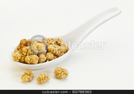 To use this stock image in your creative project, please select the size you need over to the right and click the "Add to Cart" button.
Your downloaded image will come with the Cutcaster watermark removed so don’t worry about the watermark you see on this page. spoon of dried white mulberries stock photo, sun-dried white mulberry berries on a ceramic tablespoon by Marek Uliasz