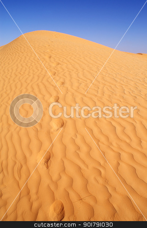To use this stock image in your creative project, please select the size you need over to the right and click the "Add to Cart" button.
Your downloaded image will come with the Cutcaster watermark removed so don’t worry about the watermark you see on this page. Desert stock photo, beautiful day in the dunes of Africa by Viktor Thaut