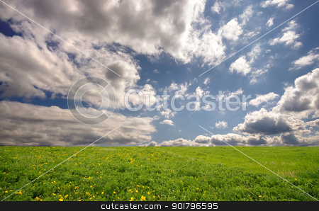 To use this stock image in your creative project, please select the size you need over to the right and click the "Add to Cart" button.
Your downloaded image will come with the Cutcaster watermark removed so don’t worry about the watermark you see on this page. fresh summer landscape stock photo, fresh summer landscape with meadow and sky by Ioan Panaite