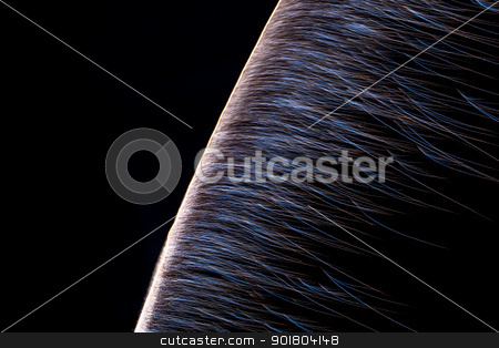 To use this stock image in your creative project, please select the size you need over to the right and click the "Add to Cart" button.
Your downloaded image will come with the Cutcaster watermark removed so don’t worry about the watermark you see on this page. fireworks stock photo, Golden fireworks in colorful shades of yellow and orange by Anatoliy Nykilchyk