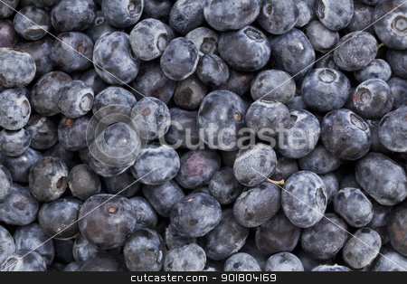 To use this stock image in your creative project, please select the size you need over to the right and click the "Add to Cart" button.
Your downloaded image will come with the Cutcaster watermark removed so don’t worry about the watermark you see on this page. blueberry texture background stock photo, macro of fresh organic blueberry berries - texture background by Marek Uliasz