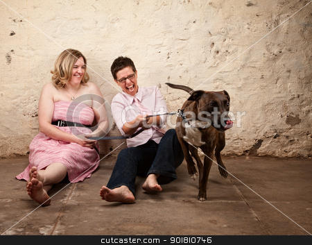 To use this stock image in your creative project, please select the size you need over to the right and click the "Add to Cart" button.
Your downloaded image will come with the Cutcaster watermark removed so don’t worry about the watermark you see on this page. Ladies with Funny Dog stock photo, Laughing friends sitting on the floor with funny dog by Scott Griessel
