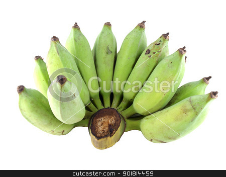 To use this stock image in your creative project, please select the size you need over to the right and click the "Add to Cart" button.
Your downloaded image will come with the Cutcaster watermark removed so don’t worry about the watermark you see on this page. fresh banana, raw banana stock photo, Fresh cultivated banana, raw banana by jakgree
