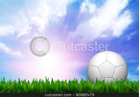 To use this stock image in your creative project, please select the size you need over to the right and click the "Add to Cart" button.
Your downloaded image will come with the Cutcaster watermark removed so don’t worry about the watermark you see on this page. football in green grass over a twilight sky stock photo, football in green grass over a twilight sky by jakgree
