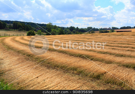 To use this stock image in your creative project, please select the size you need over to the right and click the "Add to Cart" button.
Your downloaded image will come with the Cutcaster watermark removed so don’t worry about the watermark you see on this page. fields of flax harvested drawing lines on the floor stock photo, fields of flax harvested drawing lines on the floor by Chretien