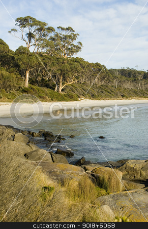 To use this stock image in your creative project, please select the size you need over to the right and click the "Add to Cart" button.
Your downloaded image will come with the Cutcaster watermark removed so don’t worry about the watermark you see on this page. Fortescue Bay stock photo, Secluded sandy beach at Fortescue bay, Tasmania, Australia by Stephen Gibson