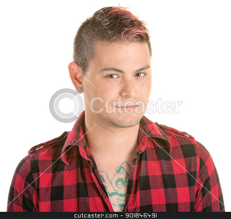 To use this stock image in your creative project, please select the size you need over to the right and click the "Add to Cart" button.
Your downloaded image will come with the Cutcaster watermark removed so don’t worry about the watermark you see on this page. Smirking Man with Spiky Hair stock photo, Smirking Mexican man with spiky dyed hair over white by Scott Griessel