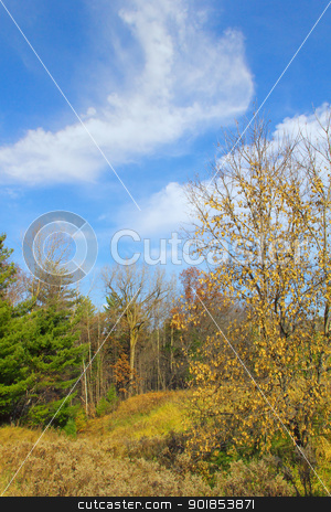 To use this stock image in your creative project, please select the size you need over to the right and click the "Add to Cart" button.
Your downloaded image will come with the Cutcaster watermark removed so don’t worry about the watermark you see on this page. Autumn Colors stock photo, Late Autumn brings vibrant Fall colors and beautiful blue skies. by Ken Wolter