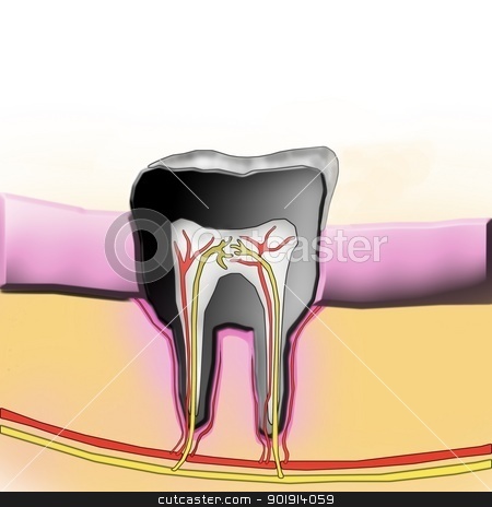 To use this stock image in your creative project, please select the size you need over to the right and click the "Add to Cart" button.
Your downloaded image will come with the Cutcaster watermark removed so don’t worry about the watermark you see on this page. tooth illustration stock photo, tooth illustration by Tobias Arhelger