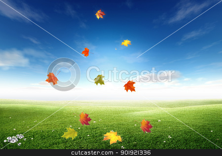 To use this stock image in your creative project, please select the size you need over to the right and click the "Add to Cart" button.
Your downloaded image will come with the Cutcaster watermark removed so don’t worry about the watermark you see on this page. Autumn stock photo, Yellow and red leaves are isolated on sky background by Diana