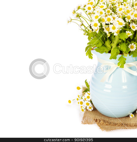 To use this stock image in your creative project, please select the size you need over to the right and click the "Add to Cart" button.
Your downloaded image will come with the Cutcaster watermark removed so don’t worry about the watermark you see on this page. flowers in a vase stock photo, Beautiful flowers in a vase on white background by klenova