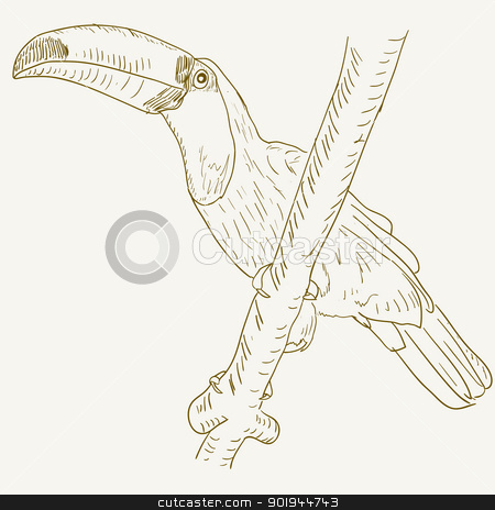 To use this stock image in your creative project, please select the size you need over to the right and click the "Add to Cart" button.
Your downloaded image will come with the Cutcaster watermark removed so don’t worry about the watermark you see on this page. Toucan bird sitting on a tree branch. stock vector clipart, Toucan bird sitting on a tree branch. by aarrows