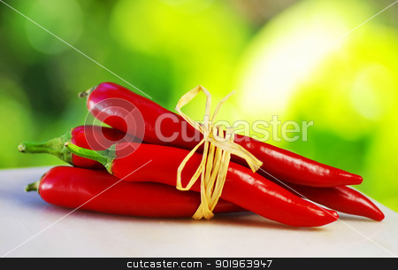 To use this stock image in your creative project, please select the size you need over to the right and click the "Add to Cart" button.
Your downloaded image will come with the Cutcaster watermark removed so don’t worry about the watermark you see on this page. Red hot chili peppers tied with rope stock photo, Red hot chili peppers tied with rope by Inacio Pires