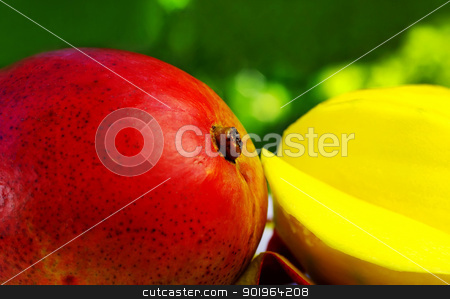 To use this stock image in your creative project, please select the size you need over to the right and click the "Add to Cart" button.
Your downloaded image will come with the Cutcaster watermark removed so don’t worry about the watermark you see on this page. Sliced mango on green background stock photo, Sliced mango on green background by Inacio Pires