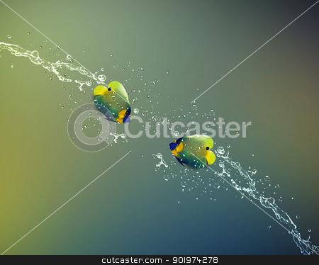 To use this stock image in your creative project, please select the size you need over to the right and click the "Add to Cart" button.
Your downloaded image will come with the Cutcaster watermark removed so don’t worry about the watermark you see on this page. Angelfish jumping stock photo, Angelfish jumping, good concept for Recklessness and challenge concept. by Designsstock