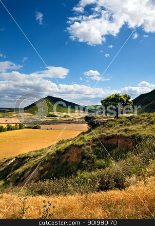To use this stock image in your creative project, please select the size you need over to the right and click the "Add to Cart" button.
Your downloaded image will come with the Cutcaster watermark removed so don’t worry about the watermark you see on this page. Landscape stock photo, Landscape with field,tree and blue sky by carloscastilla