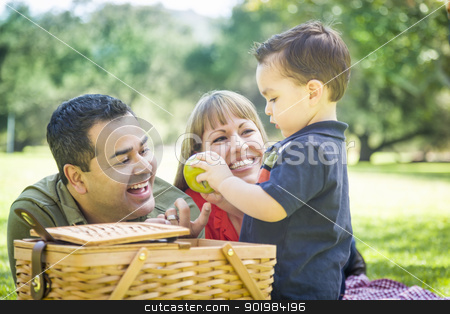 To use this stock image in your creative project, please select the size you need over to the right and click the "Add to Cart" button.
Your downloaded image will come with the Cutcaster watermark removed so don’t worry about the watermark you see on this page. Mixed Race Family Enjoy a Picnic At The Park stock photo, Happy Mixed Race Family Enjoy a Picnic At The Park. by Andy Dean