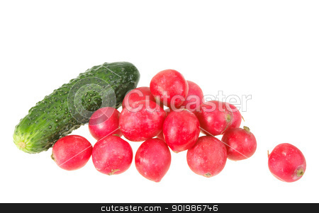 To use this stock image in your creative project, please select the size you need over to the right and click the "Add to Cart" button.
Your downloaded image will come with the Cutcaster watermark removed so don’t worry about the watermark you see on this page. One green cucumber and group of red garden radish. stock photo, One green cucumber and group of red garden radish. Close-up. Isolated on white background. by Andrey Khritin