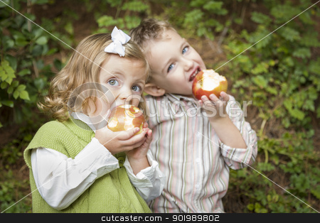 To use this stock image in your creative project, please select the size you need over to the right and click the "Add to Cart" button.
Your downloaded image will come with the Cutcaster watermark removed so don’t worry about the watermark you see on this page. Adorable Brother and Sister Children Eating Apples Outside stock photo, Adorable Brother and Sister Children Eating Big Red Apples Outside. by Andy Dean