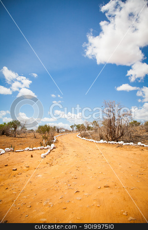 To use this stock image in your creative project, please select the size you need over to the right and click the "Add to Cart" button.
Your downloaded image will come with the Cutcaster watermark removed so don’t worry about the watermark you see on this page. Savana road stock photo, Kenya. Blue sky on this orange road in the middle of African Savana, Tsavo East National Park by Perseomedusa
