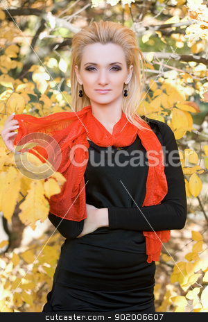 To use this stock image in your creative project, please select the size you need over to the right and click the "Add to Cart" button.
Your downloaded image will come with the Cutcaster watermark removed so don’t worry about the watermark you see on this page. Portrait of a young woman stock photo, Portrait of a young woman amongst the autumn leaves by Sergii Sukhorukov