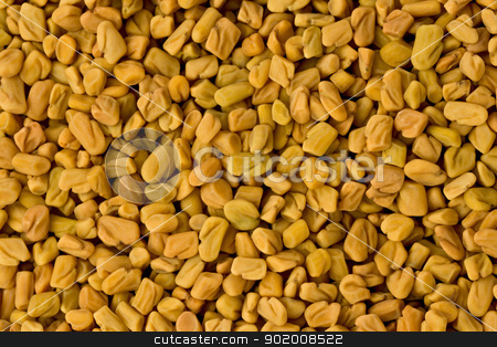 To use this stock image in your creative project, please select the size you need over to the right and click the "Add to Cart" button.
Your downloaded image will come with the Cutcaster watermark removed so don’t worry about the watermark you see on this page. Fenugreek Seeds (Trigonella foenum-graecum) stock photo, Background texture of fenugreek seeds. by Glenn Price