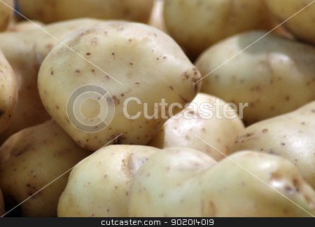 To use this stock image in your creative project, please select the size you need over to the right and click the "Add to Cart" button.
Your downloaded image will come with the Cutcaster watermark removed so don’t worry about the watermark you see on this page. Ripe potatoes stock photo, Group of fresh ripe whole potatoes, vegetable ingredients. by Martin Crowdy