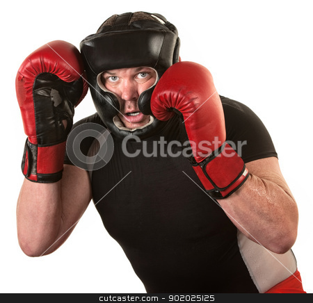 To use this stock image in your creative project, please select the size you need over to the right and click the "Add to Cart" button.
Your downloaded image will come with the Cutcaster watermark removed so don’t worry about the watermark you see on this page. Fighter In Guard Position stock photo, Tough male boxing fighter in defensive guard over white by Scott Griessel